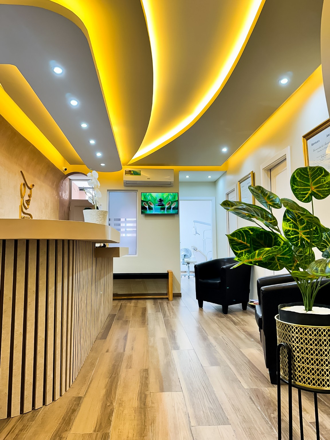 Vista de la recepción y la sala de espera, con iluminación curva en el techo y plantas.